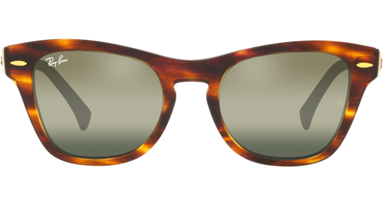 Ray-Ban RB0707SM 954/G4 - Ansicht 13