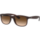 Ray-Ban Andy RB4202 606971 55