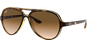 Ray-Ban Scuderia Ferrari Collection RB4125 710/51