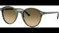 Ray-Ban 0RB2230 14210A