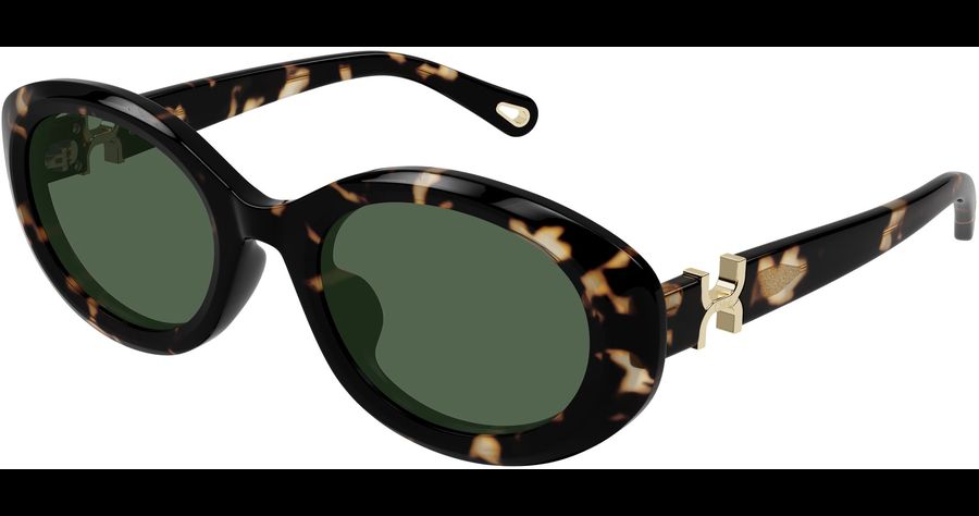  Chloé CH0323SK 54 002 Ansicht 1