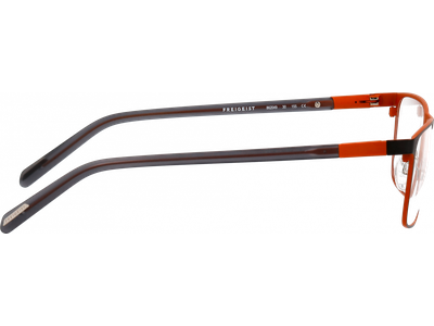 Freigeist Brille Herren Freigeist 862049 58 30 Ansicht 2