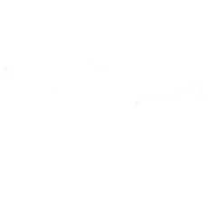 Gucci Brille Damen Gucci GG0027O 50 011