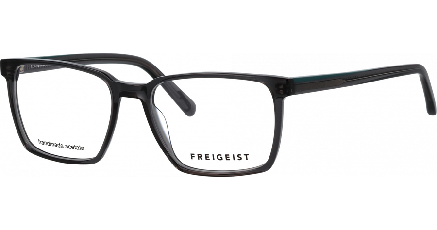 Freigeist Brille Herren Freigeist 863041 57 30 Ansicht 1
