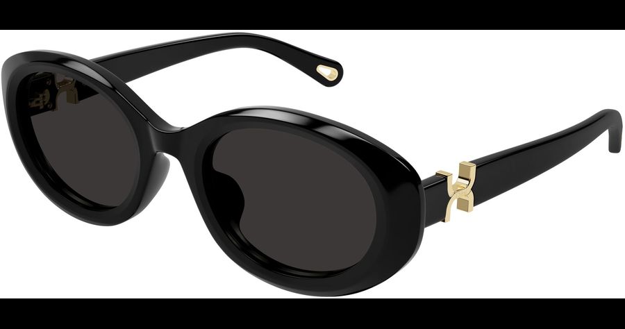  Chloé CH0323SK 54 001 Ansicht 1
