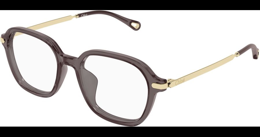  Chloé CH0361OA 52 001 Ansicht 1