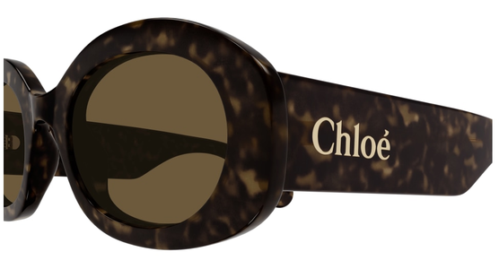 Chloé CH0258S 53 Havanna - Ansicht 4