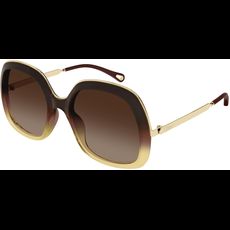  Chloé CH0327S 56 006