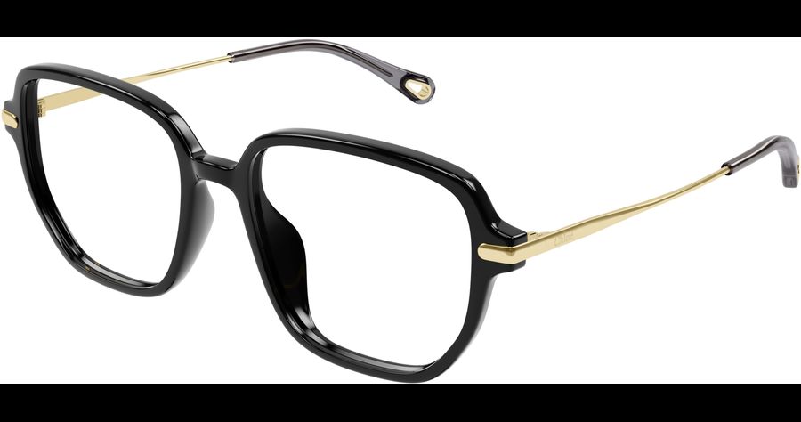  Chloé CH0218OA 55 001 Ansicht 1