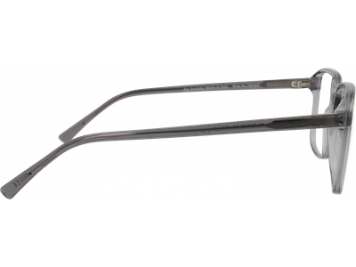 FRAIMS Brille Herren FRAIMS NATURE 03-23040-02 Riley, Rauchgrau glänzend Ansicht 3