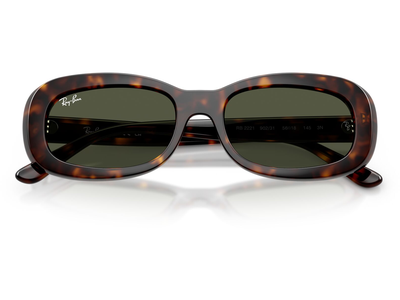  Ray-Ban RB2221 902/31 Ansicht 5