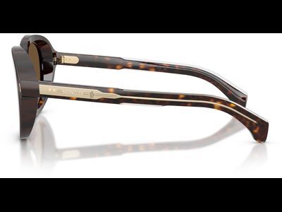 Moncler Sonnenbrille Unisex Moncler Cirsee ME6007U 300273 54 Ansicht 3