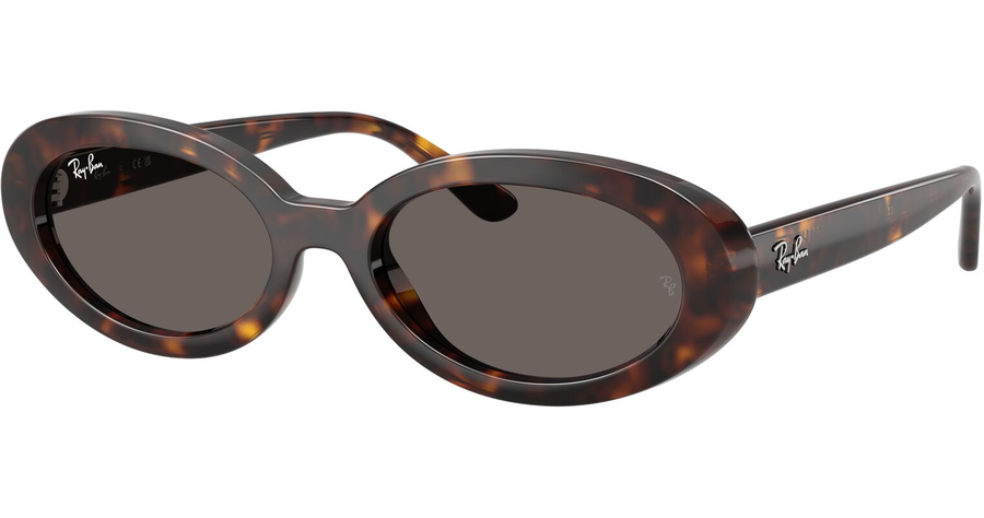  Ray-Ban RB2223 902/B1 Ansicht 1