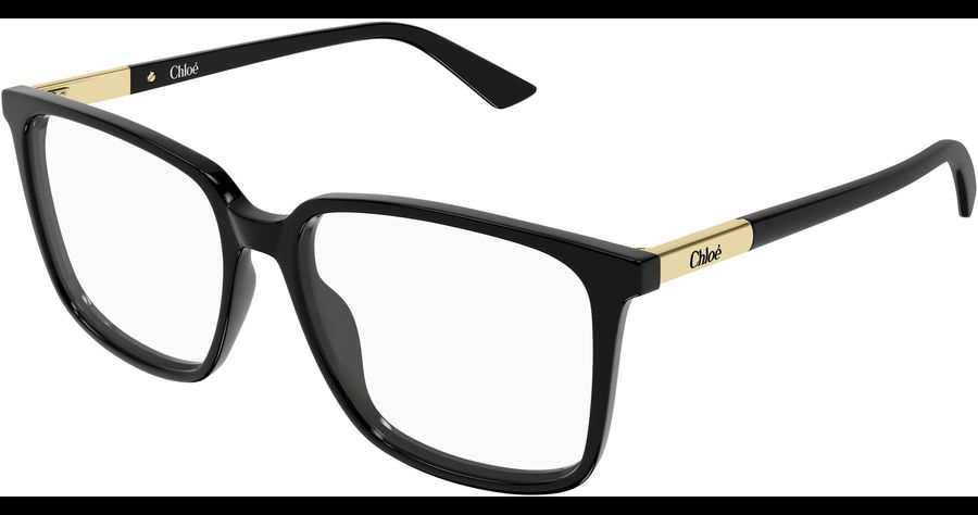  Chloé CH0369O 55 001 Ansicht 1