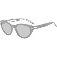 Hugo Boss Sonnenbrille Damen Hugo Boss BOSS 1779/S 55 807