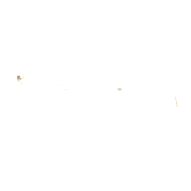 FRAIMS Brille Damen FRAIMS 03-97010-01 Kim, Ingwer