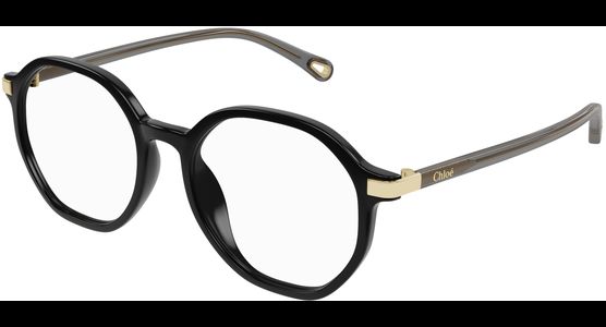 Chloé CH0249OA 53 001 - Ansicht 2