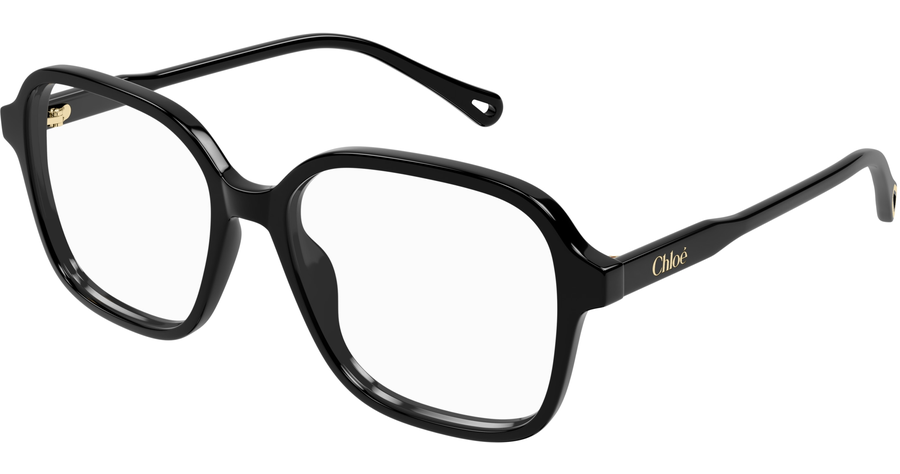  Chloé CH0313O 54 001 Ansicht 1