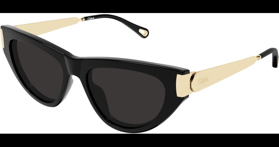 Chloé CH0350S 54 001 Ansicht 1