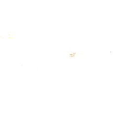 Chloé Brille Damen Chloé CH0127O 004