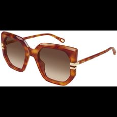  Chloé CH0240S 53 007