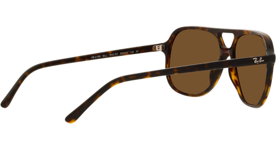 Ray-Ban Bill RB2198 902/57 - Ansicht 9