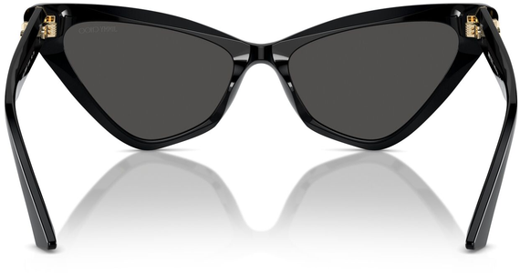Jimmy Choo JC5008 500087 55 - Ansicht 5