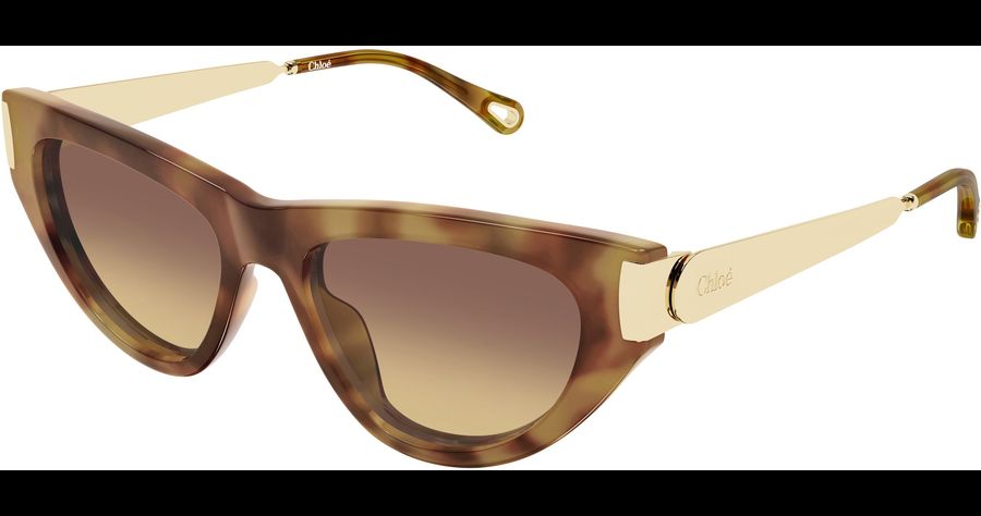  Chloé CH0350S 54 002 Ansicht 1