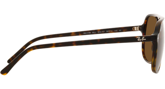 Ray-Ban Bill RB2198 902/57 - Ansicht 10