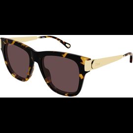  Chloé CH0349S 54 003