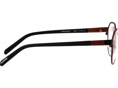 Freigeist Brille Herren Freigeist 862052 54 10 Ansicht 2