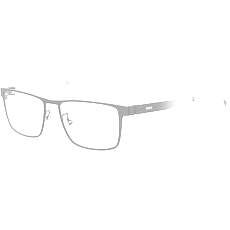 Hugo Boss Brille Herren HUGO BOSS BOSS 1342/F