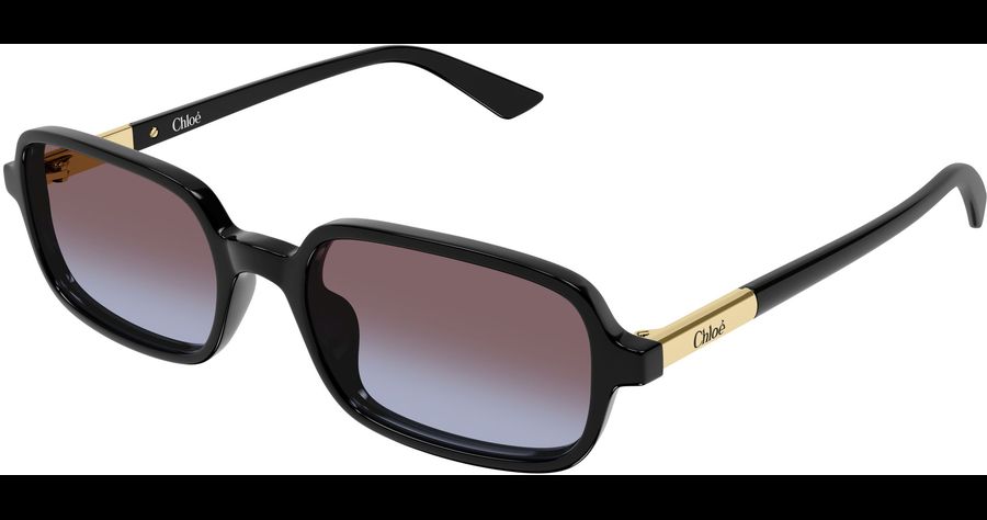  Chloé CH0363S 53 001 Ansicht 1