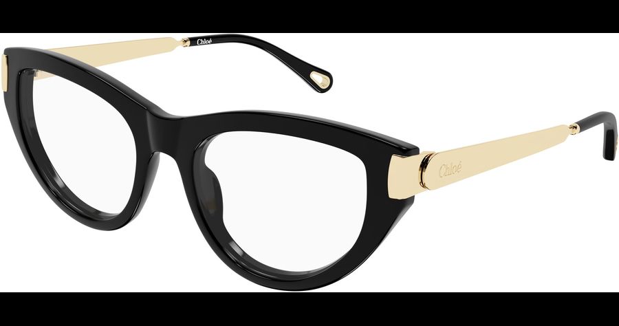  Chloé CH0352O 53 001 Ansicht 1