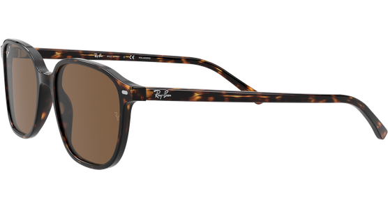 Ray-Ban Leonard RB2193 902/57 - Ansicht 3