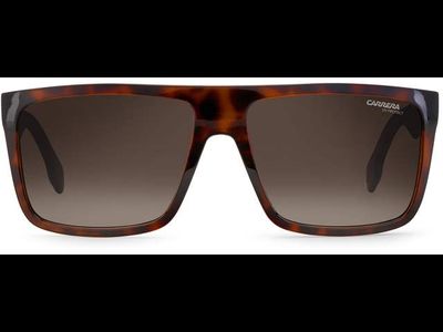 Carrera Sonnenbrille Herren Carrera CARRERA 5039/S 58 havanna Ansicht 4