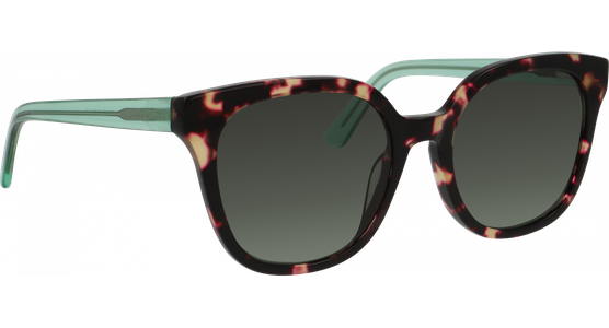 meineBrille 14-46140-01 havanna-pink/grün - Ansicht 5