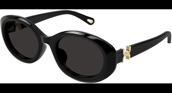 Chloé CH0323SK 54 001 - Ansicht 2