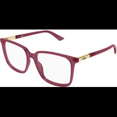  Chloé CH0369O 55 005