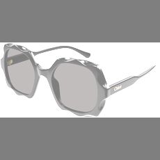  Chloé CH0226S 53 005