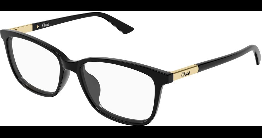  Chloé CH0371OA 55 001 Ansicht 1