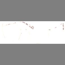 Brendel Brille Damen Brendel 902455 55 20