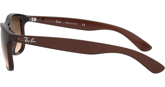 Ray-Ban RB4202 Andy Matt Schwarz / Braun 606971 55 - Ansicht 5