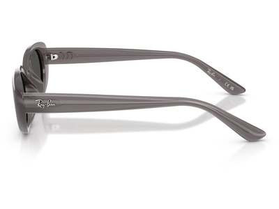  Ray-Ban RB4441D 677787 Ansicht 3