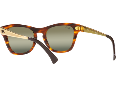 Ray-Ban Sonnenbrille Unisex Ray-Ban RB0707SM 954/G4 Ansicht 5
