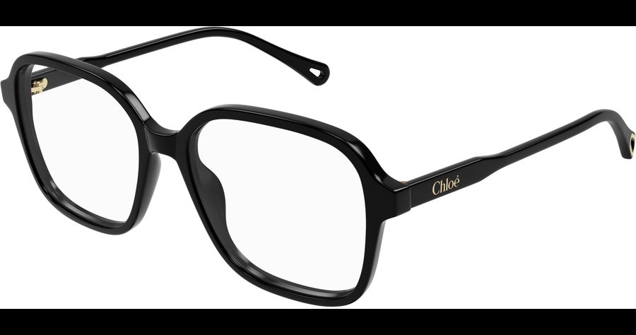  Chloé CH0317OA 54 001 Ansicht 1