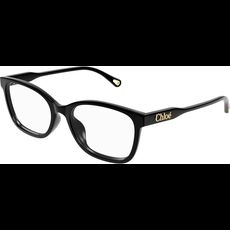  Chloé CH0276OA 54 001