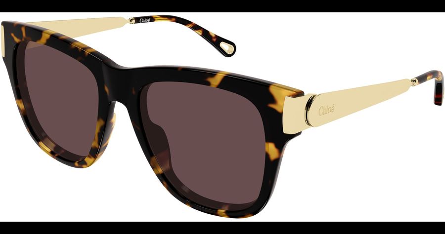 Chloé CH0349S 54 003 Ansicht 1