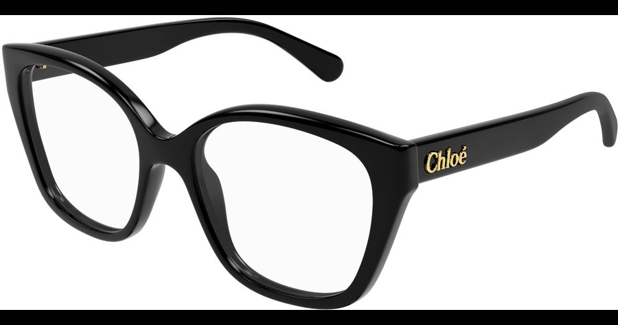 Chloé CH0241O 53 001 Ansicht 1