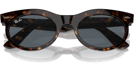 Ray-Ban 0RB2242 902/R5 - Ansicht 6